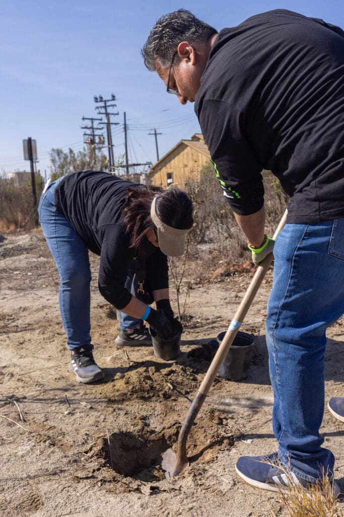 two people working volunteering to work